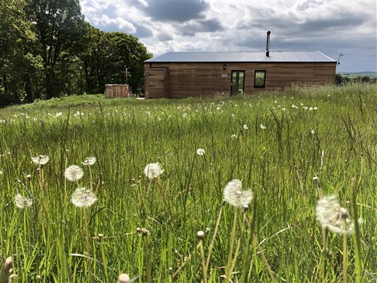 Wildflowers Hideaway